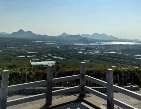 平度大澤山葡萄園引進(jìn)萊恩德土壤肥料檢測(cè)儀， 輕松掌握土壤營(yíng)養(yǎng)